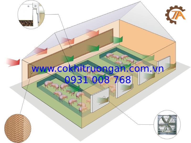 lắp đặt hệ thống làm mát cho trang trại heo