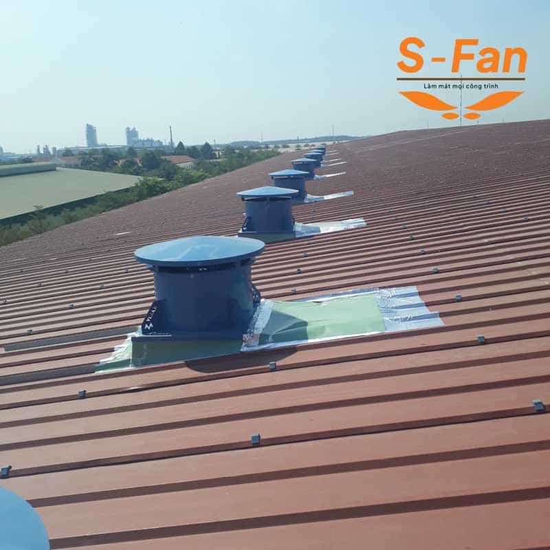 quat-hut-mai-sfan (2)